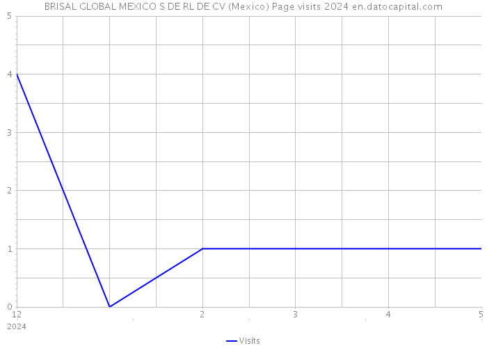 BRISAL GLOBAL MEXICO S DE RL DE CV (Mexico) Page visits 2024 