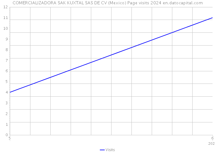 COMERCIALIZADORA SAK KUXTAL SAS DE CV (Mexico) Page visits 2024 