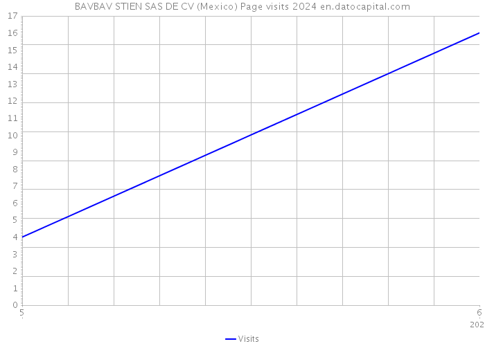 BAVBAV STIEN SAS DE CV (Mexico) Page visits 2024 