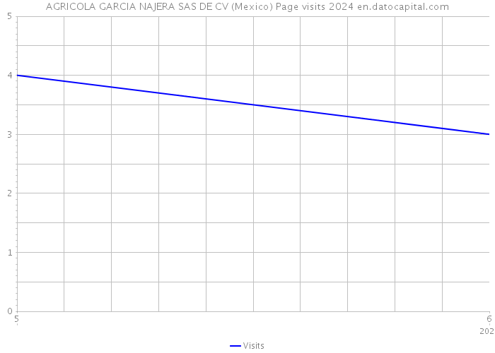 AGRICOLA GARCIA NAJERA SAS DE CV (Mexico) Page visits 2024 