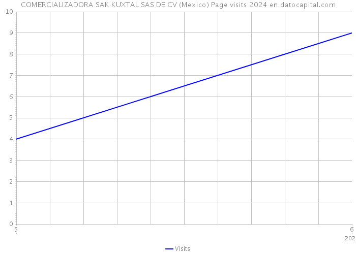 COMERCIALIZADORA SAK KUXTAL SAS DE CV (Mexico) Page visits 2024 