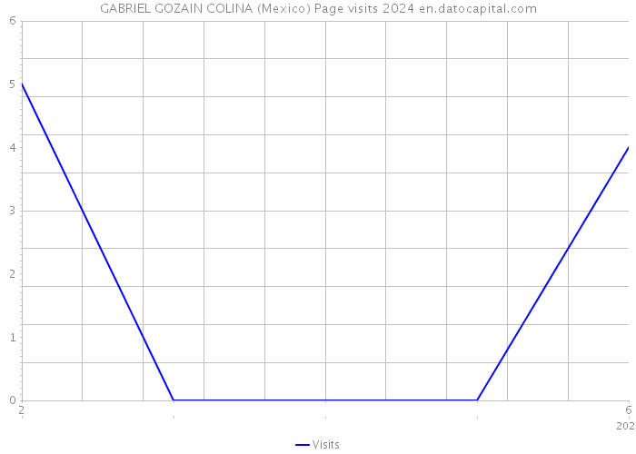 GABRIEL GOZAIN COLINA (Mexico) Page visits 2024 