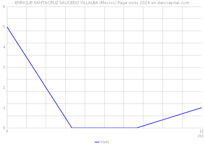 ENRIQUE SANTACRUZ SAUCEDO VILLALBA (Mexico) Page visits 2024 
