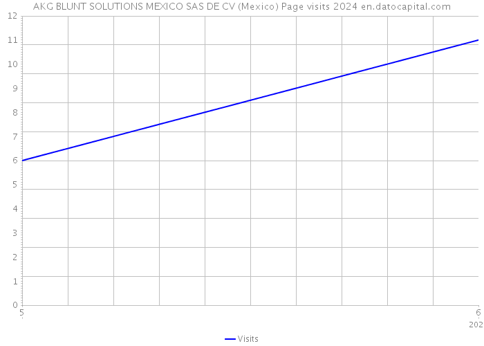 AKG BLUNT SOLUTIONS MEXICO SAS DE CV (Mexico) Page visits 2024 