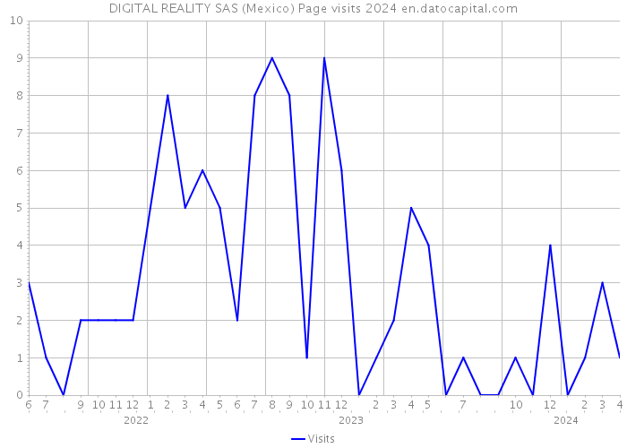 DIGITAL REALITY SAS (Mexico) Page visits 2024 