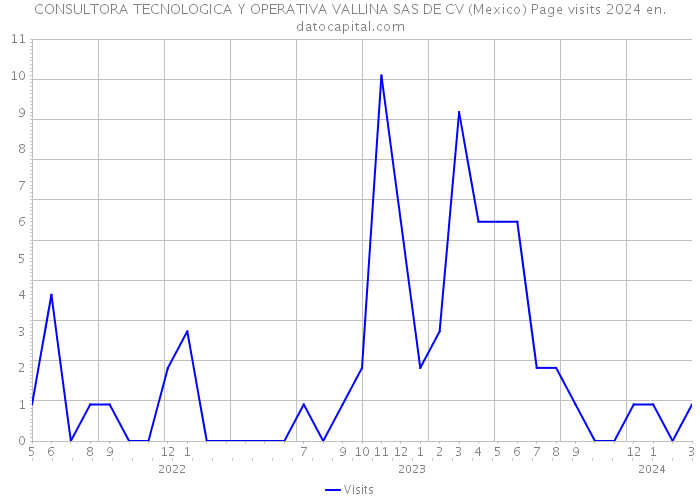 CONSULTORA TECNOLOGICA Y OPERATIVA VALLINA SAS DE CV (Mexico) Page visits 2024 