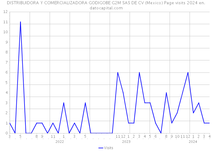 DISTRIBUIDORA Y COMERCIALIZADORA GODIGOBE G2M SAS DE CV (Mexico) Page visits 2024 