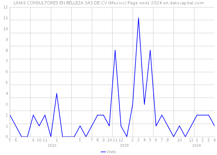LINAS CONSULTORES EN BELLEZA SAS DE CV (Mexico) Page visits 2024 