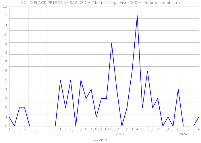 SOLID BLACK PETROGAZ SAS DE CV (Mexico) Page visits 2024 