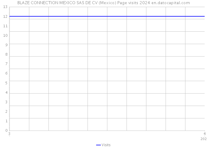 BLAZE CONNECTION MEXICO SAS DE CV (Mexico) Page visits 2024 