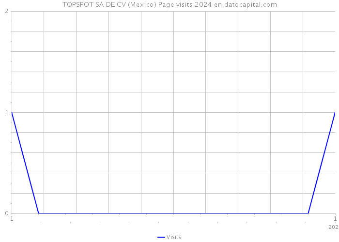 TOPSPOT SA DE CV (Mexico) Page visits 2024 