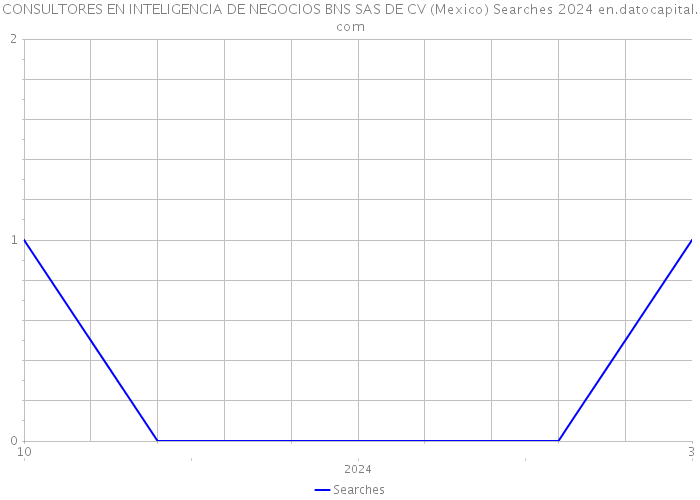 CONSULTORES EN INTELIGENCIA DE NEGOCIOS BNS SAS DE CV (Mexico) Searches 2024 