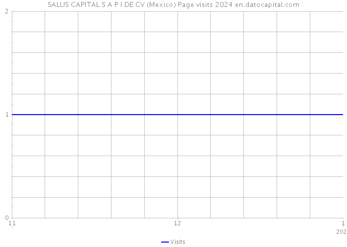 SALUS CAPITAL S A P I DE CV (Mexico) Page visits 2024 