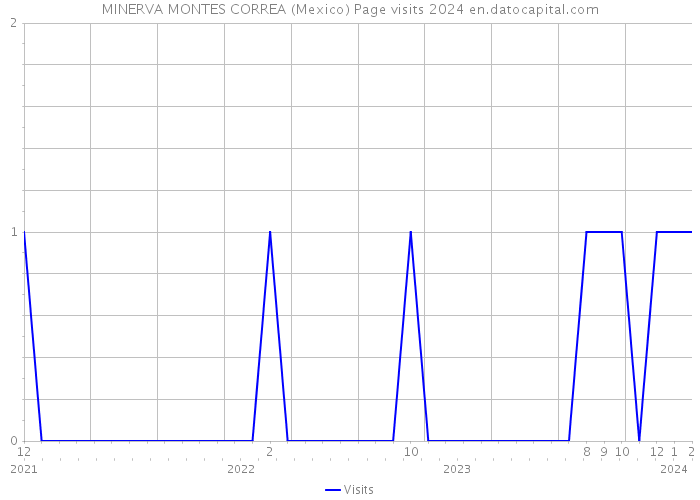 MINERVA MONTES CORREA (Mexico) Page visits 2024 