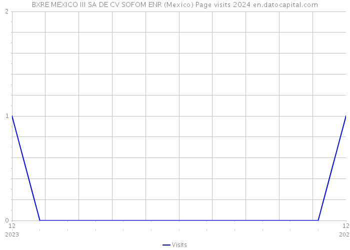 BXRE MEXICO III SA DE CV SOFOM ENR (Mexico) Page visits 2024 
