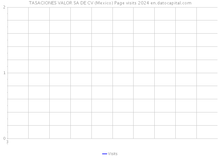 TASACIONES+VALOR SA DE CV (Mexico) Page visits 2024 