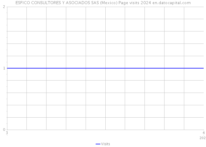 ESFICO CONSULTORES Y ASOCIADOS SAS (Mexico) Page visits 2024 
