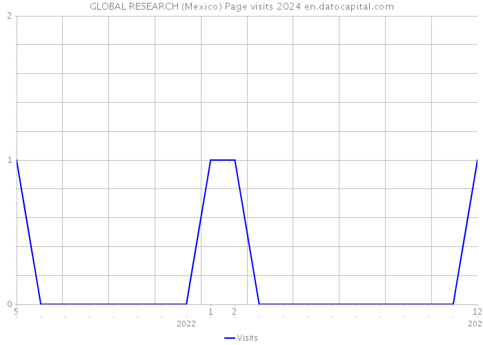 GLOBAL RESEARCH (Mexico) Page visits 2024 