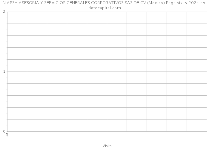 NIAPSA ASESORIA Y SERVICIOS GENERALES CORPORATIVOS SAS DE CV (Mexico) Page visits 2024 