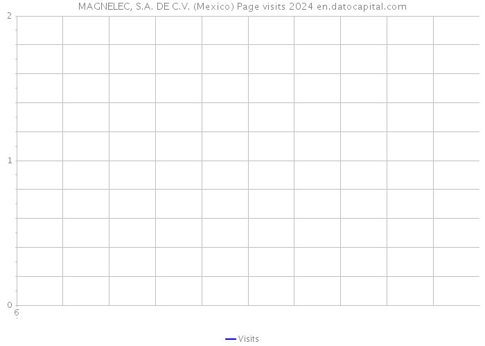 MAGNELEC, S.A. DE C.V. (Mexico) Page visits 2024 