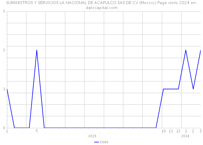 SUMINISTROS Y SERVICIOS LA NACIONAL DE ACAPULCO SAS DE CV (Mexico) Page visits 2024 
