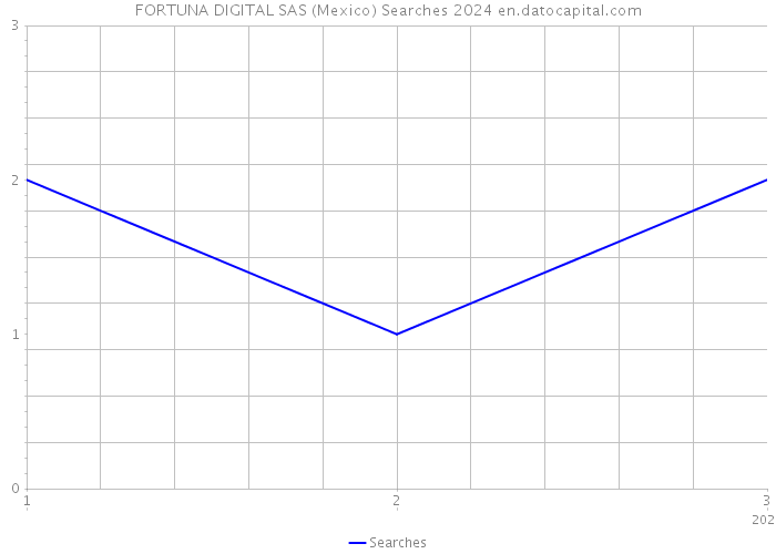 FORTUNA DIGITAL SAS (Mexico) Searches 2024 
