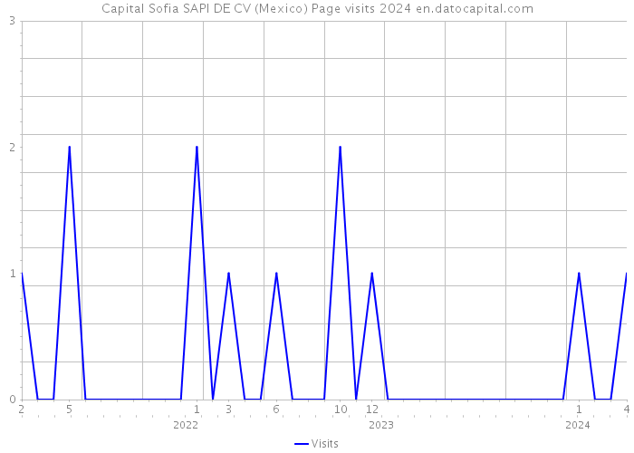Capital Sofia SAPI DE CV (Mexico) Page visits 2024 