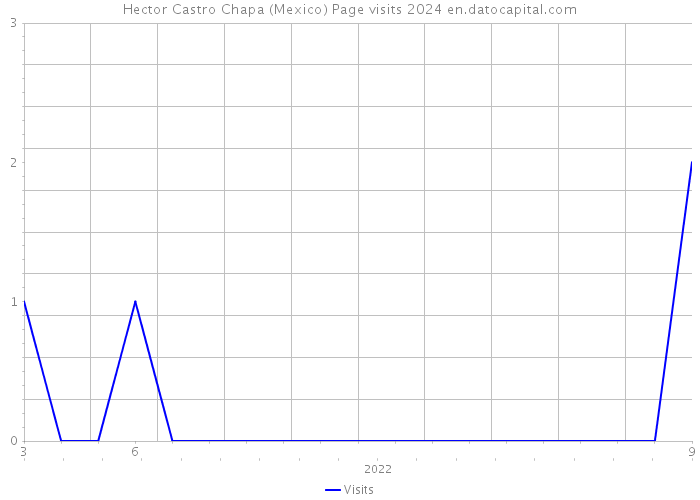 Hector Castro Chapa (Mexico) Page visits 2024 