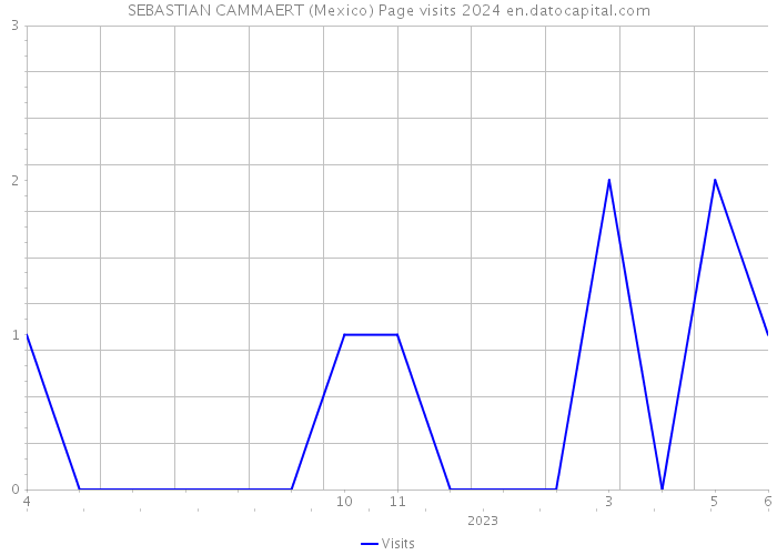 SEBASTIAN CAMMAERT (Mexico) Page visits 2024 