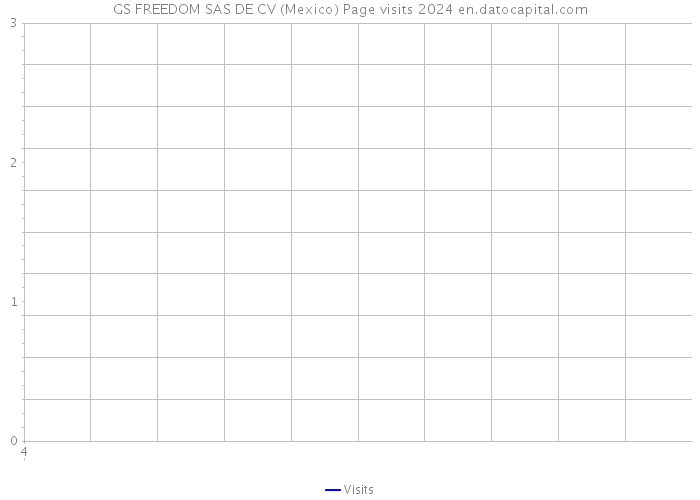 GS FREEDOM SAS DE CV (Mexico) Page visits 2024 