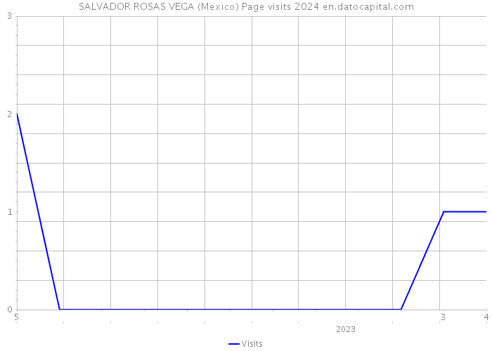 SALVADOR ROSAS VEGA (Mexico) Page visits 2024 