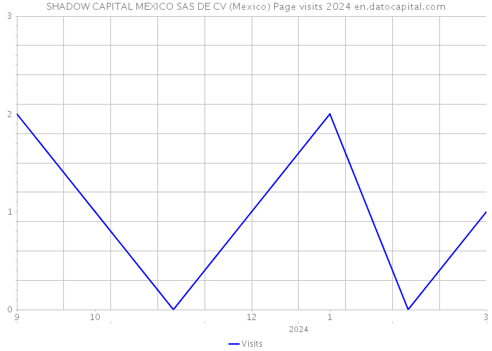 SHADOW CAPITAL MEXICO SAS DE CV (Mexico) Page visits 2024 