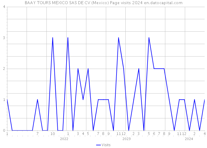 BAAY TOURS MEXICO SAS DE CV (Mexico) Page visits 2024 