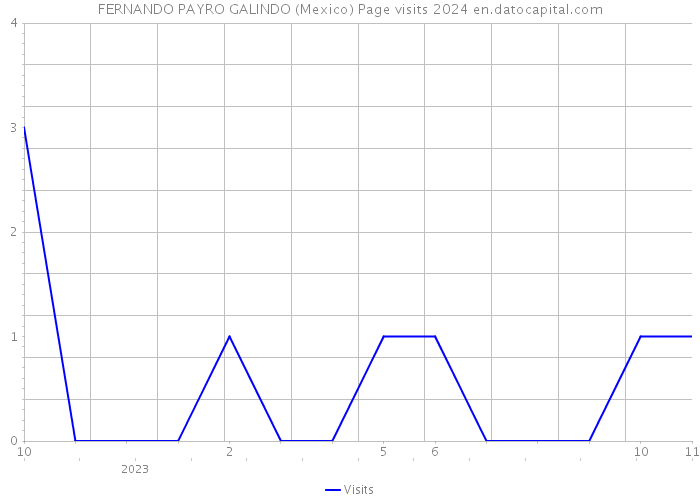 FERNANDO PAYRO GALINDO (Mexico) Page visits 2024 