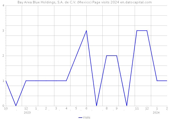 Bay Area Blue Holdings, S.A. de C.V. (Mexico) Page visits 2024 