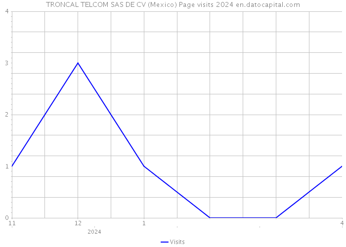 TRONCAL TELCOM SAS DE CV (Mexico) Page visits 2024 