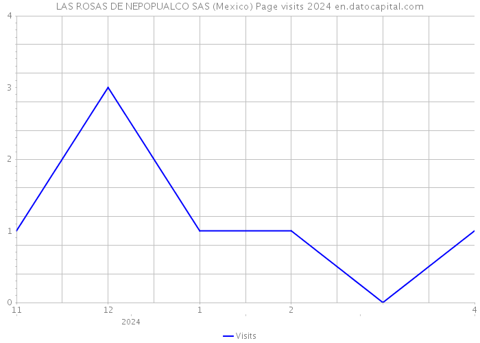 LAS ROSAS DE NEPOPUALCO SAS (Mexico) Page visits 2024 