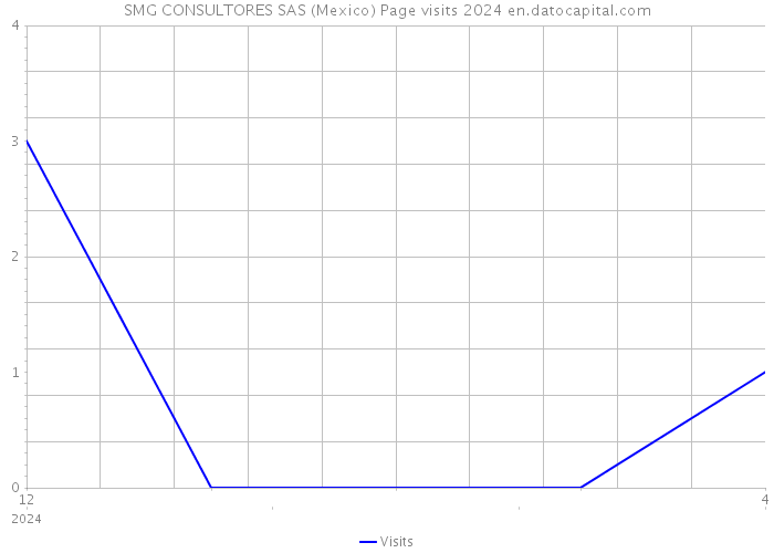 SMG CONSULTORES SAS (Mexico) Page visits 2024 