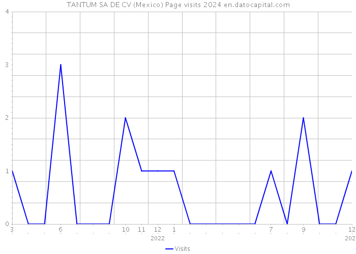 TANTUM SA DE CV (Mexico) Page visits 2024 
