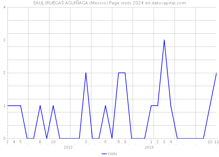 SAUL IRUEGAS AGUIÑAGA (Mexico) Page visits 2024 