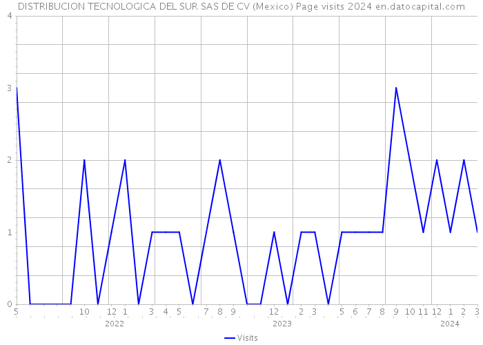DISTRIBUCION TECNOLOGICA DEL SUR SAS DE CV (Mexico) Page visits 2024 