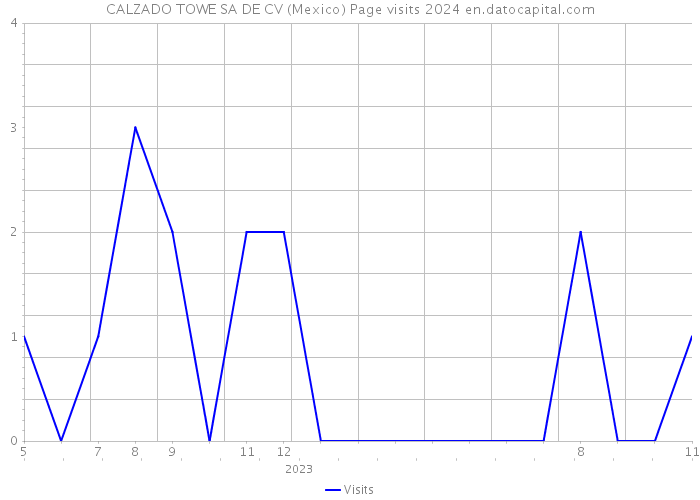CALZADO TOWE SA DE CV (Mexico) Page visits 2024 