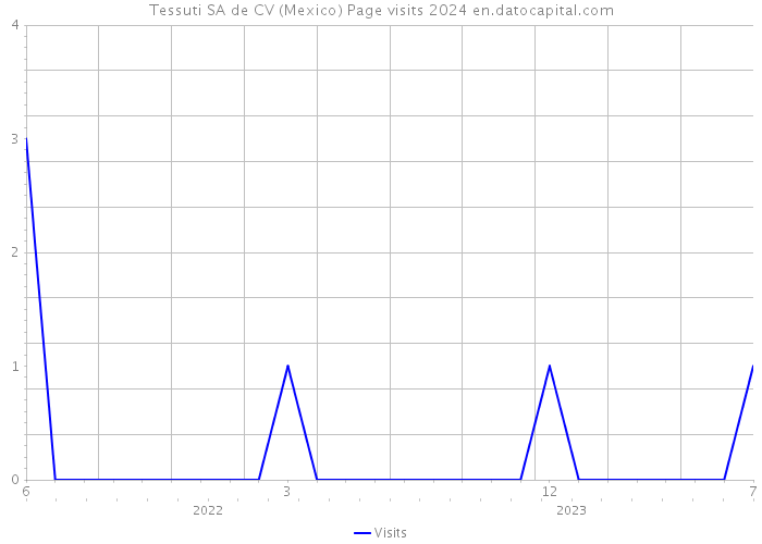 Tessuti SA de CV (Mexico) Page visits 2024 