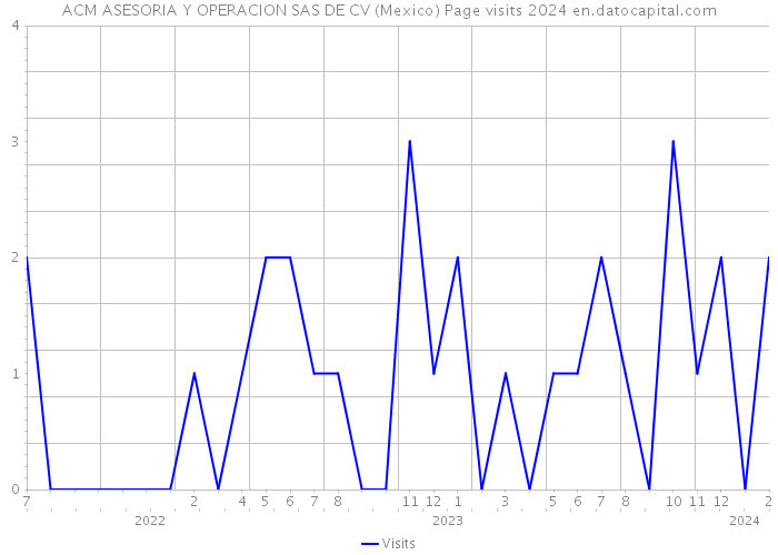 ACM ASESORIA Y OPERACION SAS DE CV (Mexico) Page visits 2024 