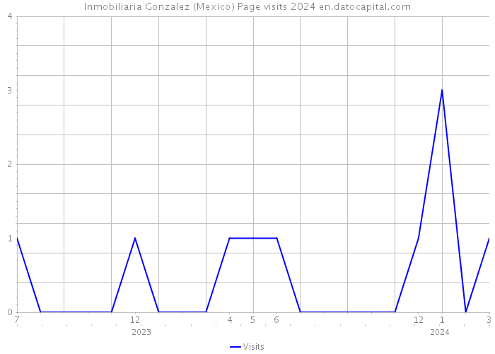 Inmobiliaria Gonzalez (Mexico) Page visits 2024 