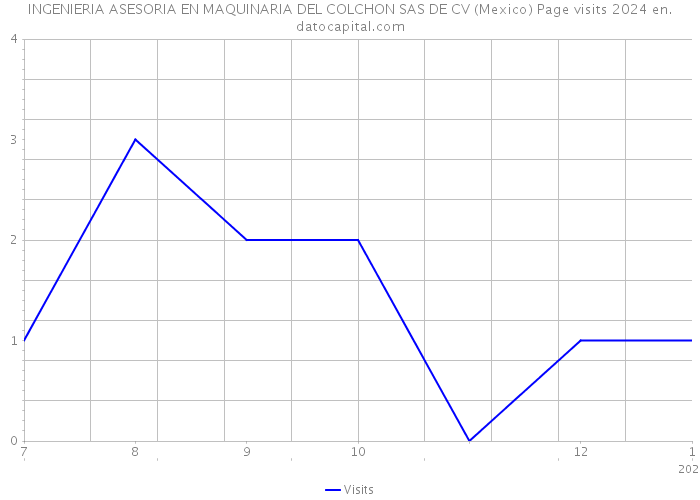 INGENIERIA ASESORIA EN MAQUINARIA DEL COLCHON SAS DE CV (Mexico) Page visits 2024 