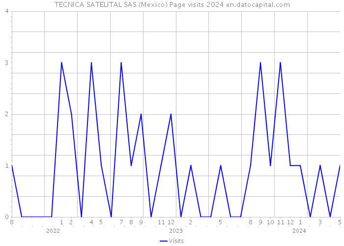 TECNICA SATELITAL SAS (Mexico) Page visits 2024 