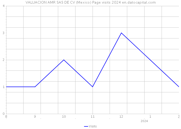 VALUACION AMR SAS DE CV (Mexico) Page visits 2024 