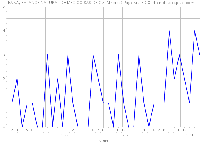 BANA, BALANCE NATURAL DE MEXICO SAS DE CV (Mexico) Page visits 2024 
