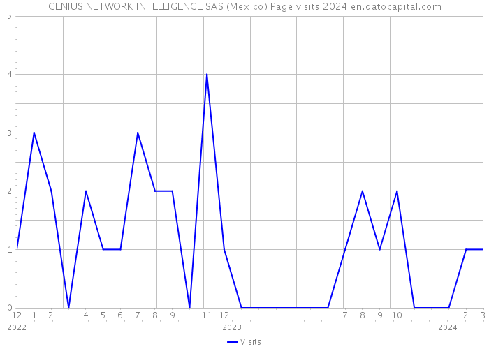 GENIUS NETWORK INTELLIGENCE SAS (Mexico) Page visits 2024 